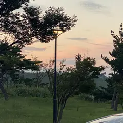 고객 포토 이용후기 이미지 1