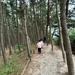 고객 포토 이용후기 이미지 1
