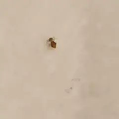 고객 포토 이용후기 이미지 3