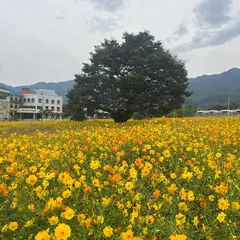 고객 포토 이용후기 이미지 1