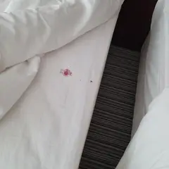 고객 포토 이용후기 이미지 1
