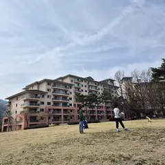 고객 포토 이용후기 이미지 7