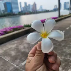 고객 포토 이용후기 이미지 1