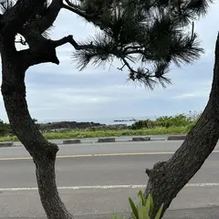 고객 포토 이용후기 이미지 1