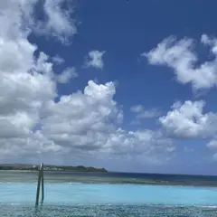 고객 포토 이용후기 이미지 5