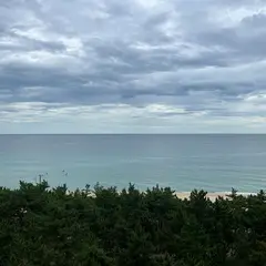 고객 포토 이용후기 이미지 1