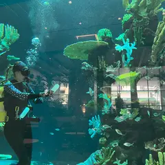 고객 포토 이용후기 이미지 6