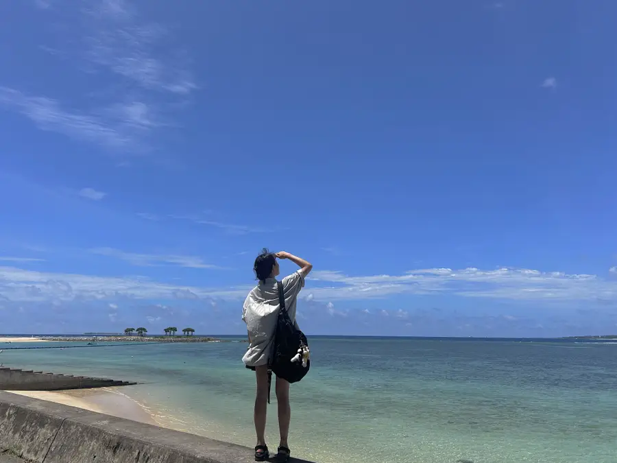 [입장권올포함] 오키나와 북부 버스투어 (츄라우미 수족관,아메리칸 빌리지)