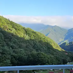 고객 포토 이용후기 이미지 1