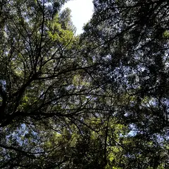 고객 포토 이용후기 이미지 5