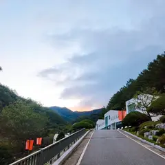 고객 포토 이용후기 이미지 1