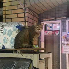 고객 포토 이용후기 이미지 1