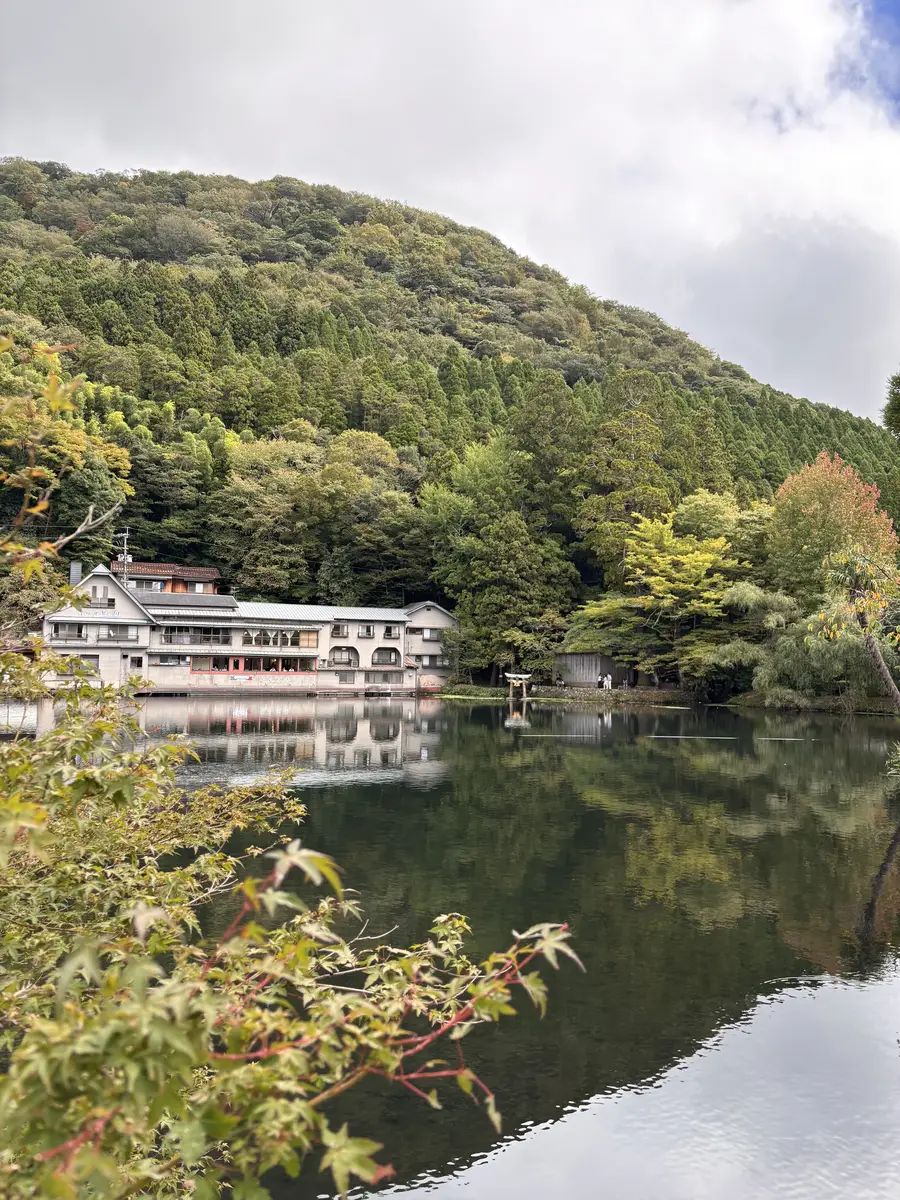 [온천욕&충전 Wi-Fi] 유후인 쿠로카와 온천 힐링 후쿠오카 버스투어