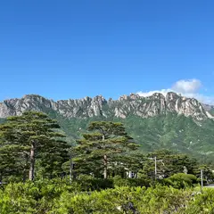 고객 포토 이용후기 이미지 2
