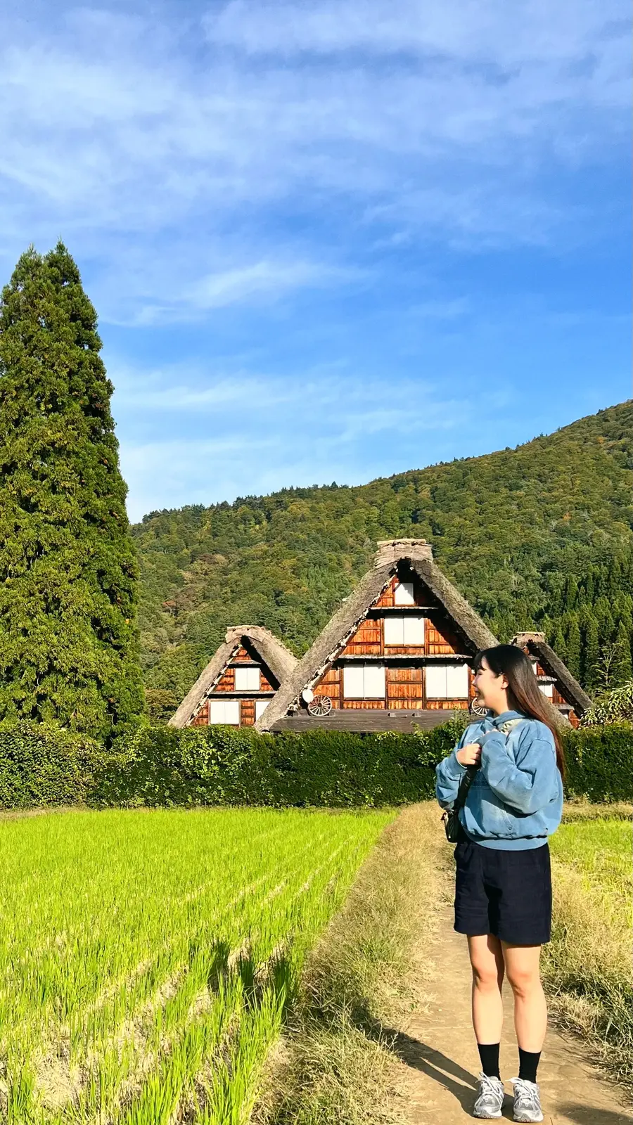 [명물간식특전] 나고야 다카야마 시라카와고 세계문화유산 1일 버스투어 엔데이트립
