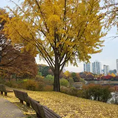고객 포토 이용후기 이미지 1