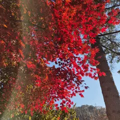 고객 포토 이용후기 이미지 4