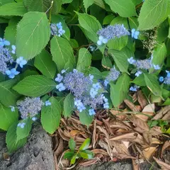 고객 포토 이용후기 이미지 2