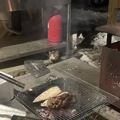 고객 포토 이용후기 이미지 1