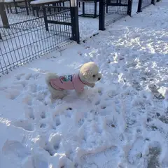 고객 포토 이용후기 이미지 1