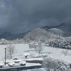 고객 포토 이용후기 이미지 2
