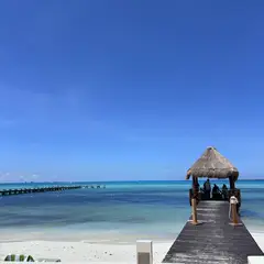 고객 포토 이용후기 이미지 6