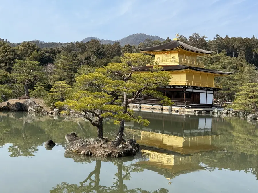 [무료사진촬영] 교토 버스투어 (아라시야마 금각사 여우신사 청수사)