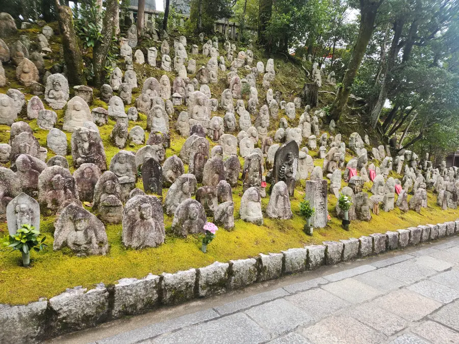 [오사카 출발] 교토 나라 사슴공원 1일 버스투어 소소버스투어