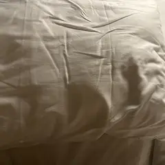 고객 포토 이용후기 이미지 1
