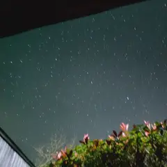 고객 포토 이용후기 이미지 1