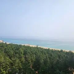 고객 포토 이용후기 이미지 2