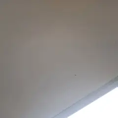 고객 포토 이용후기 이미지 1