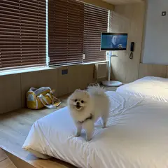 고객 포토 이용후기 이미지 1