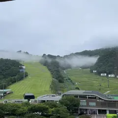 고객 포토 이용후기 이미지 5
