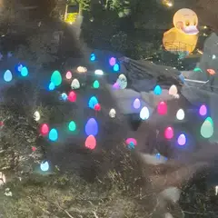 고객 포토 이용후기 이미지 2