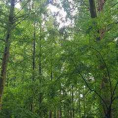 고객 포토 이용후기 이미지 1