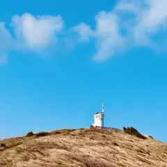 고객 포토 이용후기 이미지 1