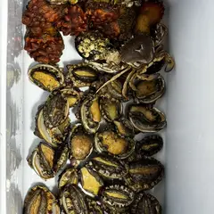 고객 포토 이용후기 이미지 1