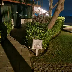 고객 포토 이용후기 이미지 1