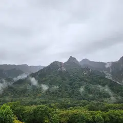 고객 포토 이용후기 이미지 1