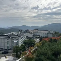 고객 포토 이용후기 이미지 1