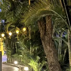 고객 포토 이용후기 이미지 1