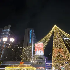 고객 포토 이용후기 이미지 1