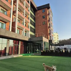 고객 포토 이용후기 이미지 1