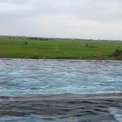 고객 포토 이용후기 이미지 1