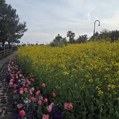 고객 포토 이용후기 이미지 1
