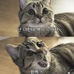 고객 포토 이용후기 이미지 3