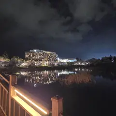 고객 포토 이용후기 이미지 1