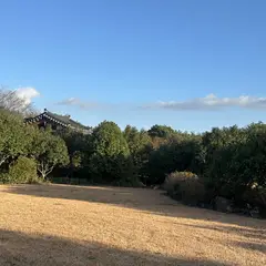 고객 포토 이용후기 이미지 1