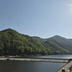 고객 포토 이용후기 이미지 1